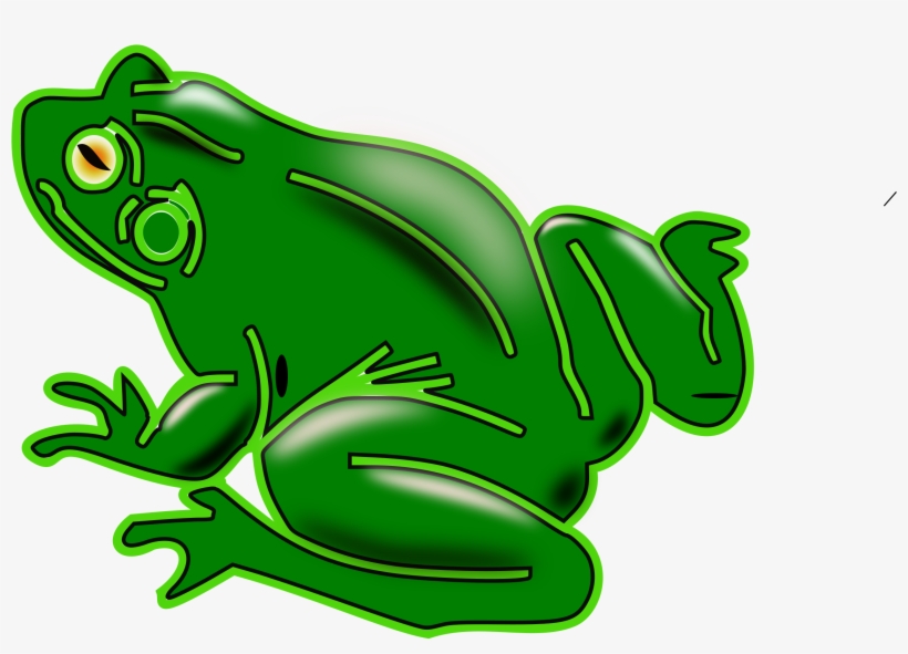 Pond Frogs Amphibian Vertebrate American Green Tree, transparent png