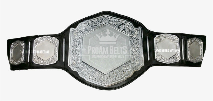 Vicious Dc Heavy Silver - Wrestling Belt Empty, transparent png