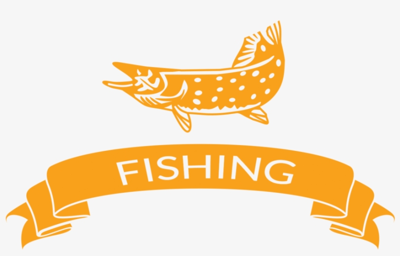 Fishing - Illustration, transparent png