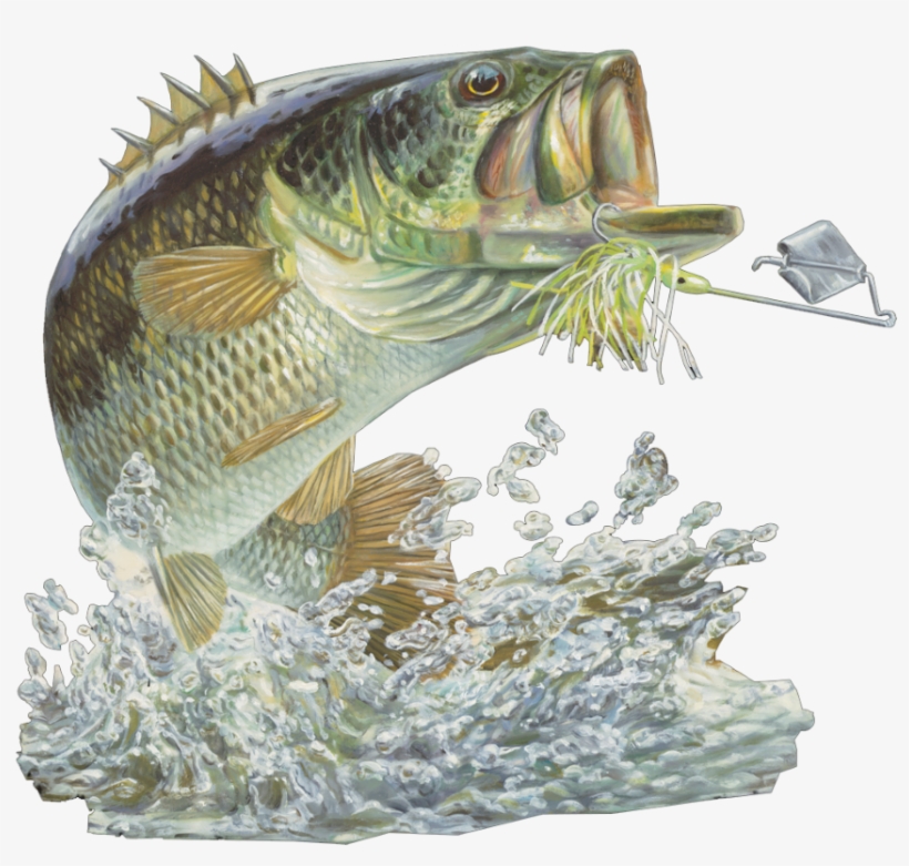 Bass Fishing Club, transparent png