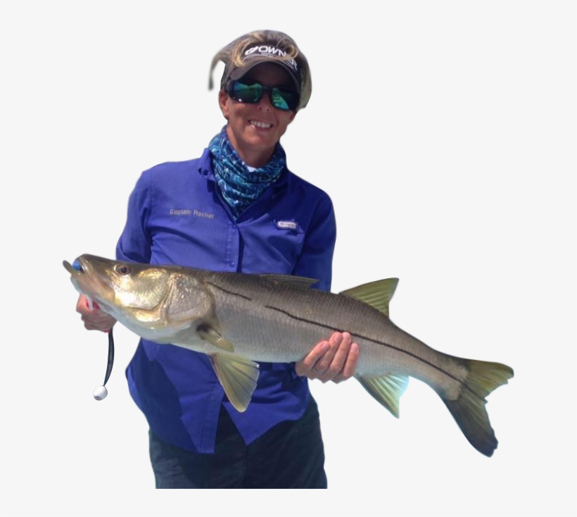 Fishing, transparent png