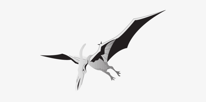 Vector Graphics - Pterodaktyl Png, transparent png