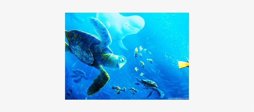 Finding Nemo - Finding Nemo And Finding Dory Comparison, transparent png