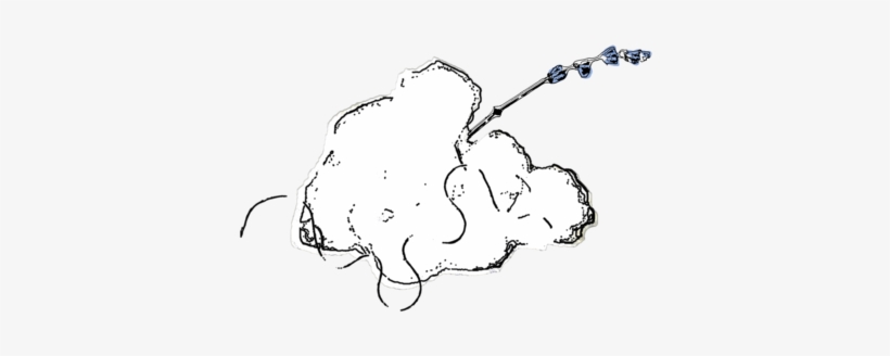 Dove Logo8, transparent png