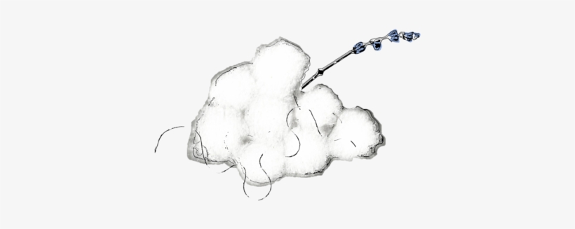 Dove Logo2, transparent png