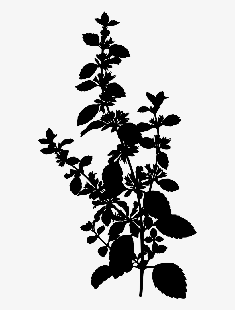 How To Draw Jack Skellington Png Library Library - Lemon Balm Silhouette, transparent png