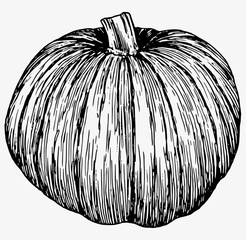 Pumpkin Pie Drawing Line Art Jack O' Lantern - Pumpkin Line Art Png, transparent png
