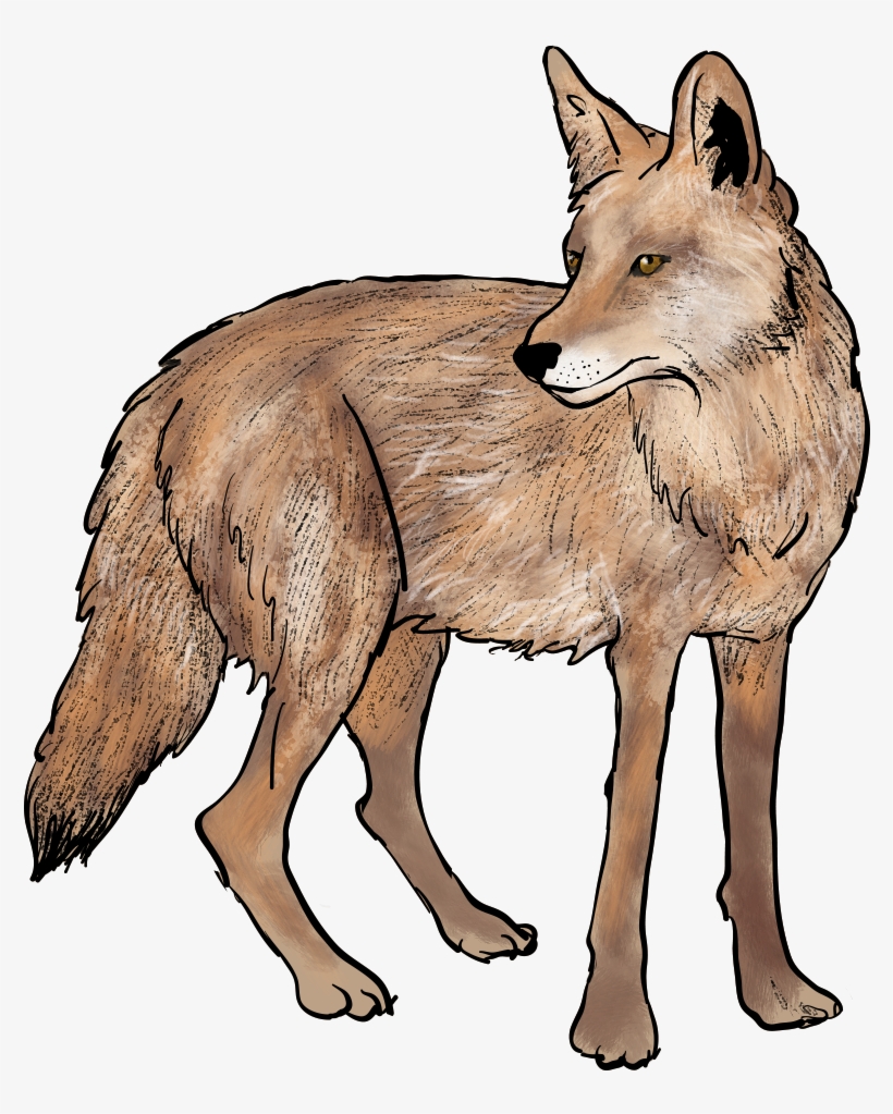 Portable Network Graphics, transparent png