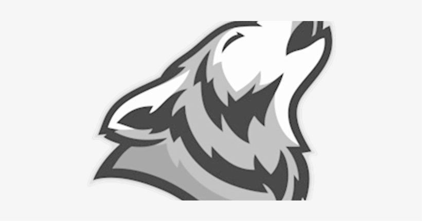 Coyote Cardiff Touch - Carolina Park Elementary School, transparent png