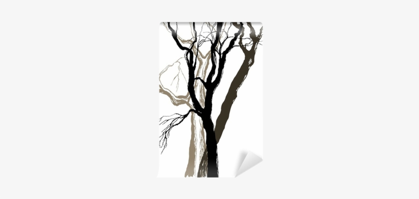 Old Trees Drawing Graphic Sketch Wall Mural • Pixers® - Trees Drawing, transparent png