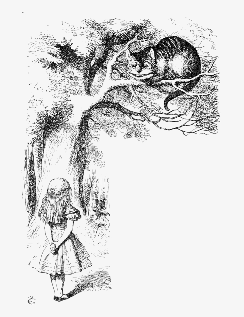 Clip Transparent Stock Off Topic Alicecatsmall - Brief History Of The Smile [book], transparent png