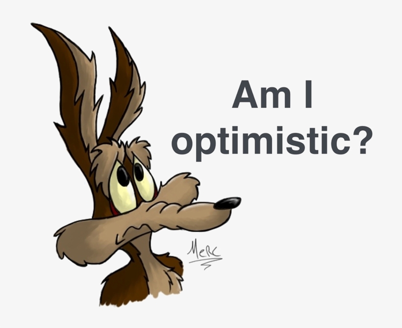 Wile E Coyote Optimism - Wile Coyote And Roadrunner Png, transparent png