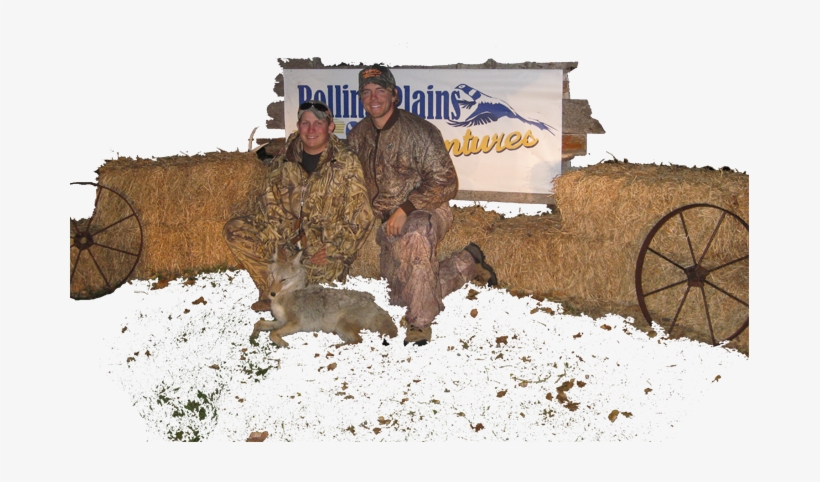 North Dakota Coyote Hunting - Coyote Hunting Nd, transparent png