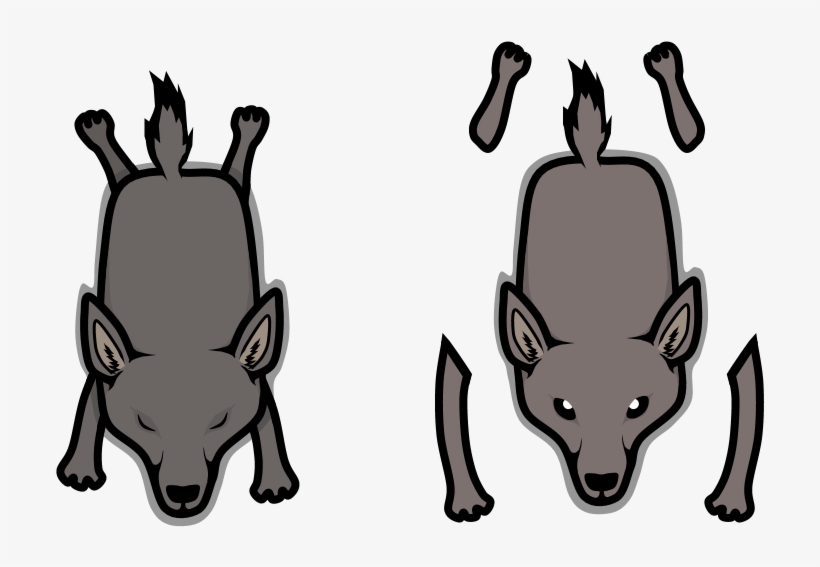 Coyote, transparent png
