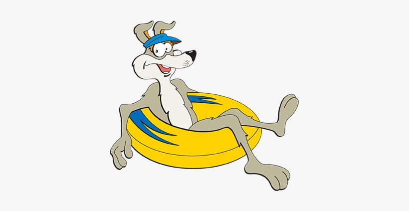 The Award-winning Coyote Camp™ Program At Pointe Hilton - Coyote, transparent png