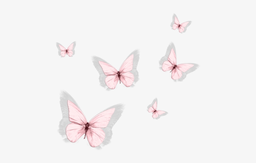 Pink Geranium, Butterfly Party, Butterfly Kisses, Butterflies, - Pieridae, transparent png
