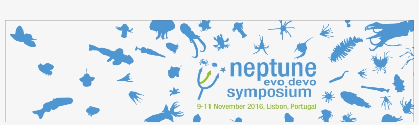Nneptune Siluete Banner 5 Extra1 - News, transparent png