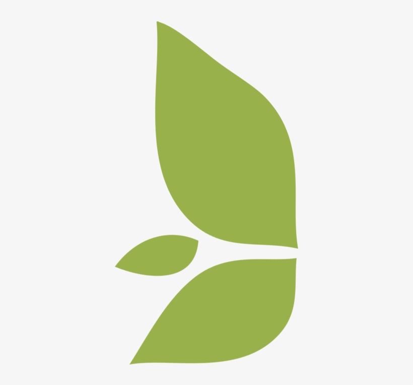 Leaf Icon City Ma - Maid Service, transparent png