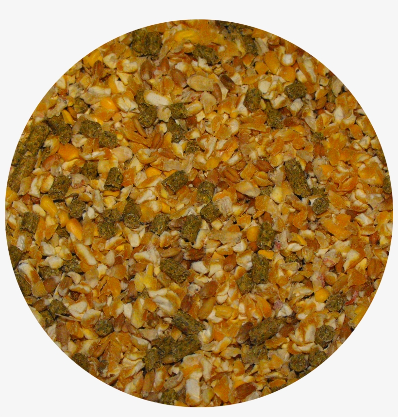 Seed Circle Game Bird Blend - Gravel, transparent png