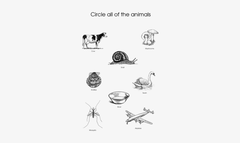 Click To See Printable Version Of Circle All Of The - Zazzle Holstein Cow Trucker Hat, transparent png