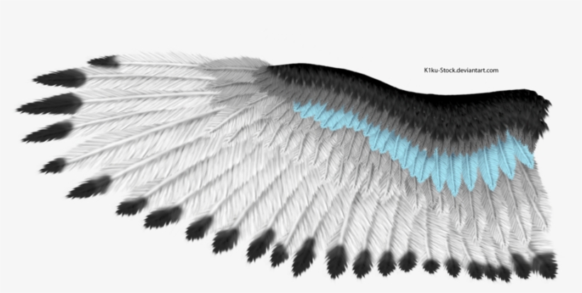 Blue Stripe Eagle Wing By K1ku-stock - Eagle Wing, transparent png