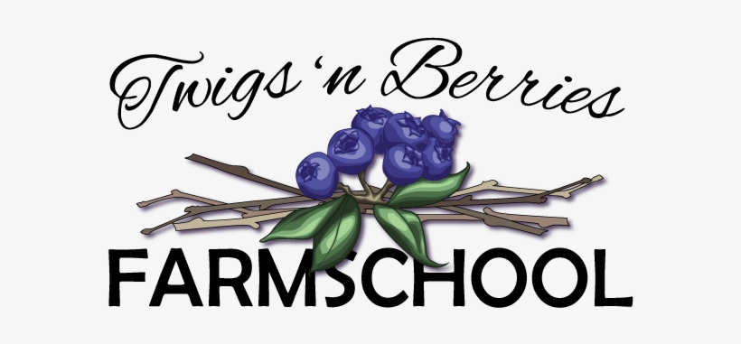 School, transparent png