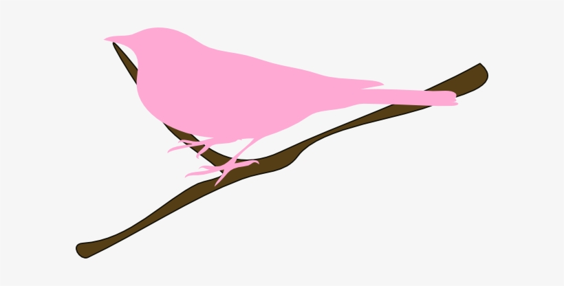 Twig Clipart - Pink Bird Clipart, transparent png