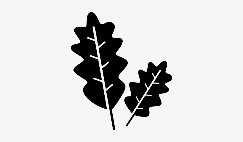 Two Twigs Vector - Icon, transparent png