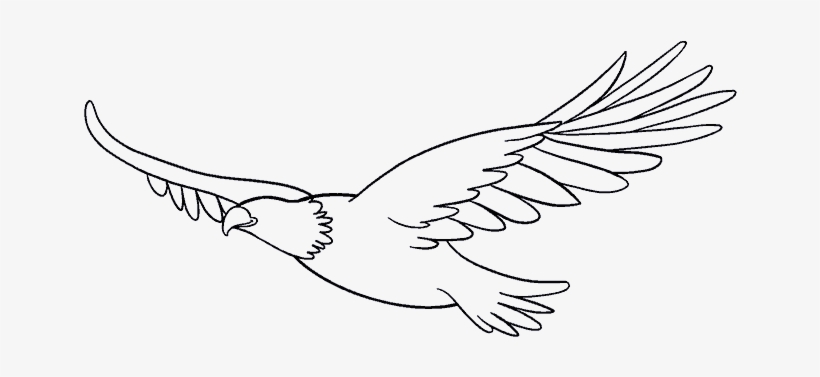 Eagle Wings Drawing Sketch - Drawing, transparent png