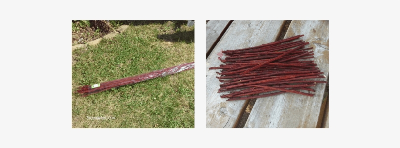 Branch-twigs - Grass, transparent png