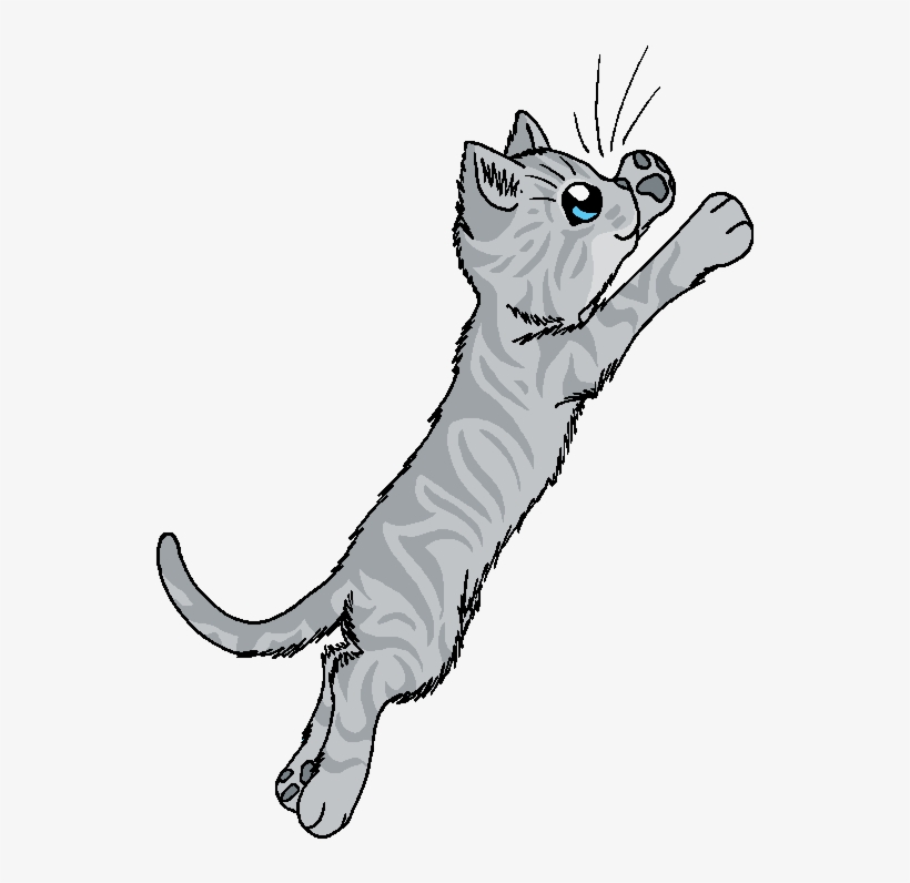 Gray Sky Before Dawn - Warrior Cats Grey Cats, transparent png