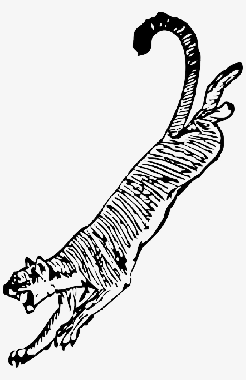 Mb Image/png - Cougar Clip Art, transparent png