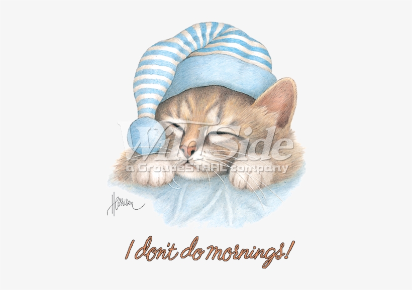 Don't Do Mornings Cat With Hat - Cat With Sleep Cap, transparent png