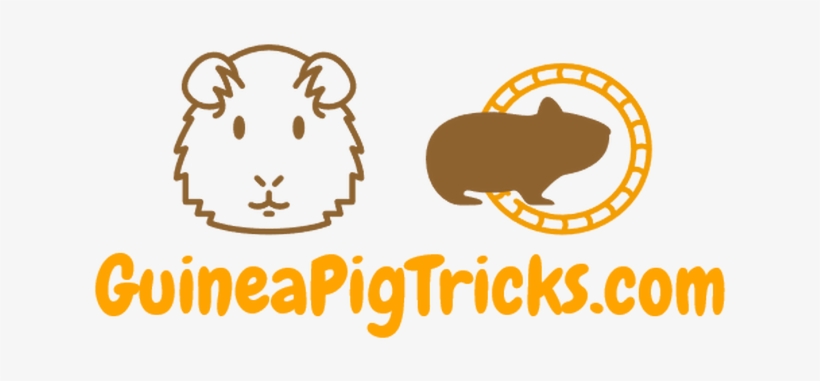 Guinea Pig Tricks - Guinea Pig Logo, transparent png