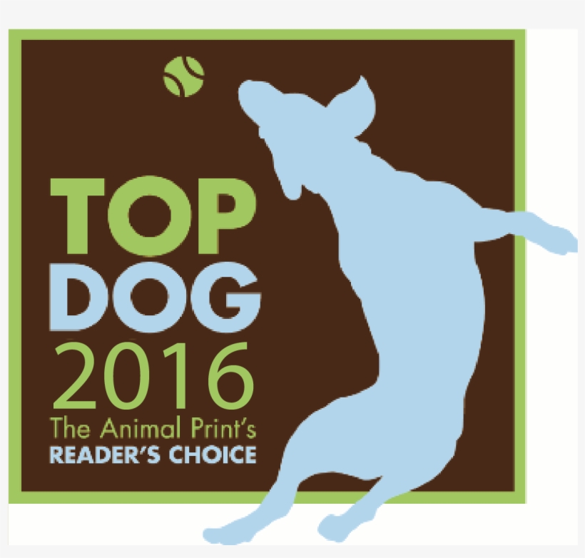 2016 Top Dog Winners Ri Animal Medical Center And Four - Dog, transparent png