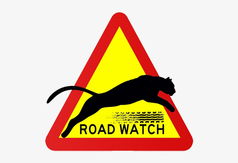 Roadkill Reports - Roadwatch App, transparent png