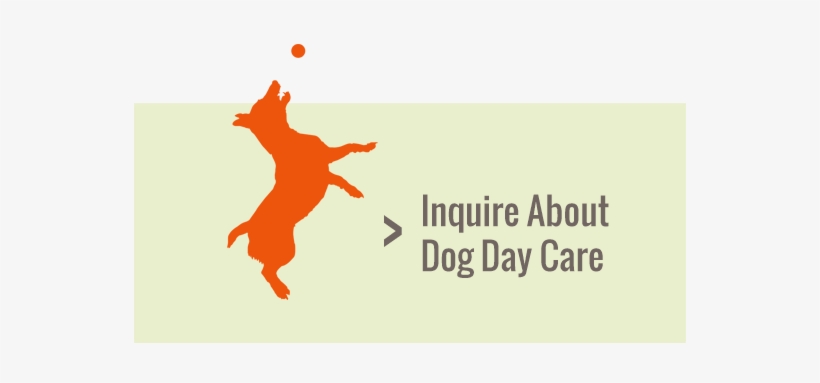 Arizona's Premier Pet Resort - Jack Russell Jumping Silhouette, transparent png