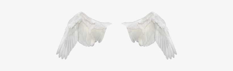 Wings,wings Ave,flight,fly,white Wings,png,freedom - Alas Blancas Png, transparent png
