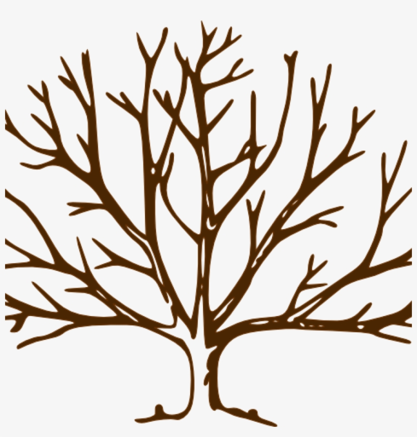 Fall Clipart Bare Fall Tree - Draw A Tree With Snow, transparent png