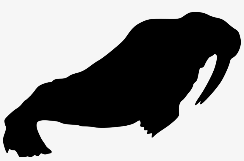 Png File Svg - Walrus Png Icon, transparent png