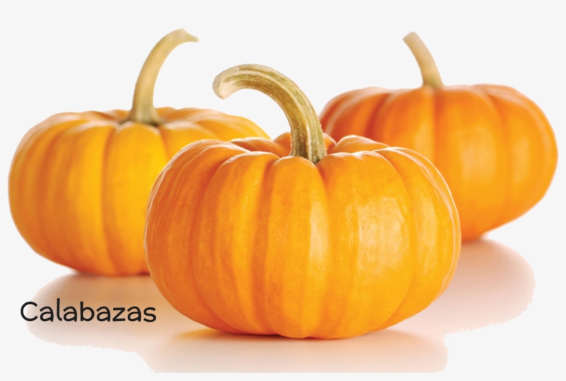 Calabaza - Alimentos Que Contienen Cucurbitacina, transparent png