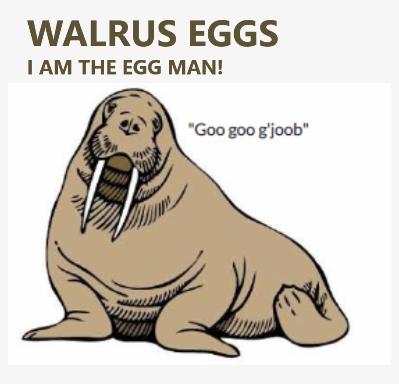 Walrus Eggs - Artist, transparent png