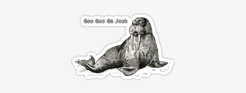 I Am The Walrus - Drawing Of A Walrus, transparent png