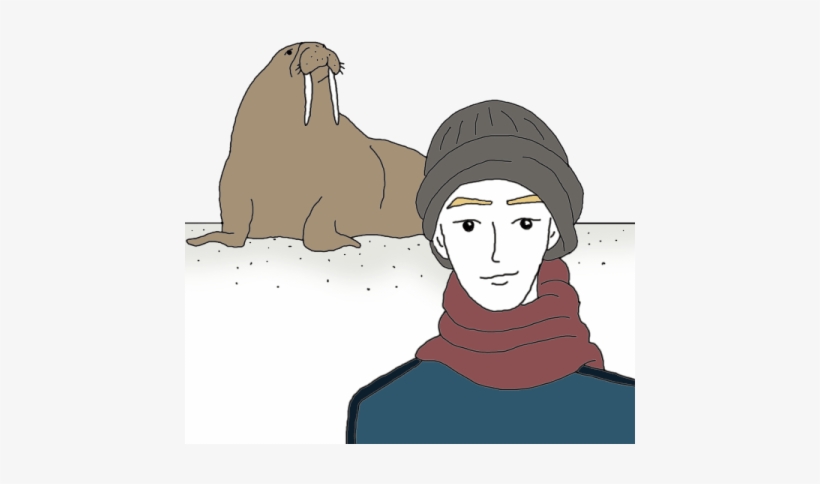 Walrus, transparent png