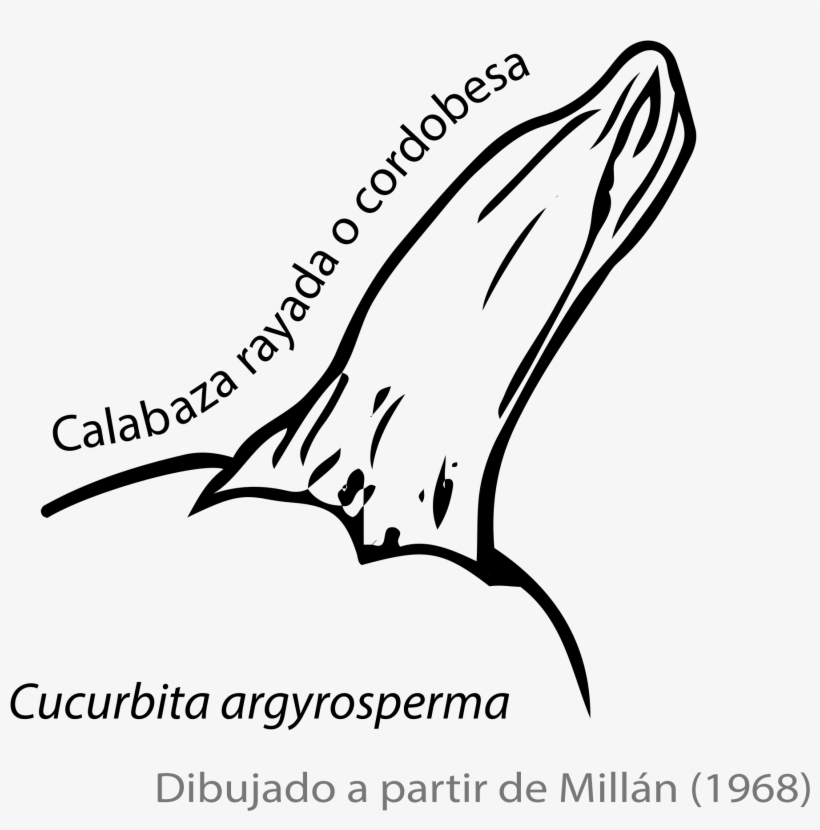 Open - Line Art, transparent png