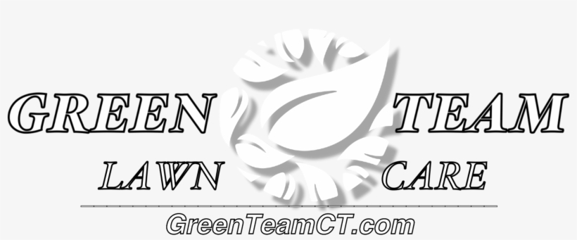 Cropped-img 0282 - Graphic Design, transparent png