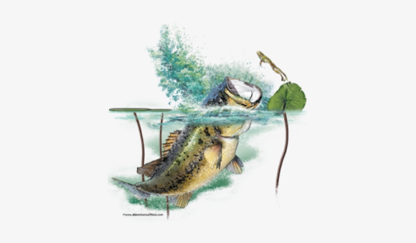 Browse Designs > All American Outfitters > Fish - Sea Bass, transparent png
