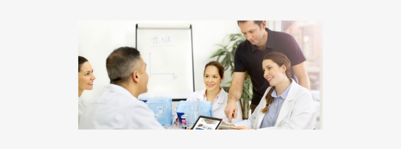 Administrators & Purchasing Agents - Tena, transparent png