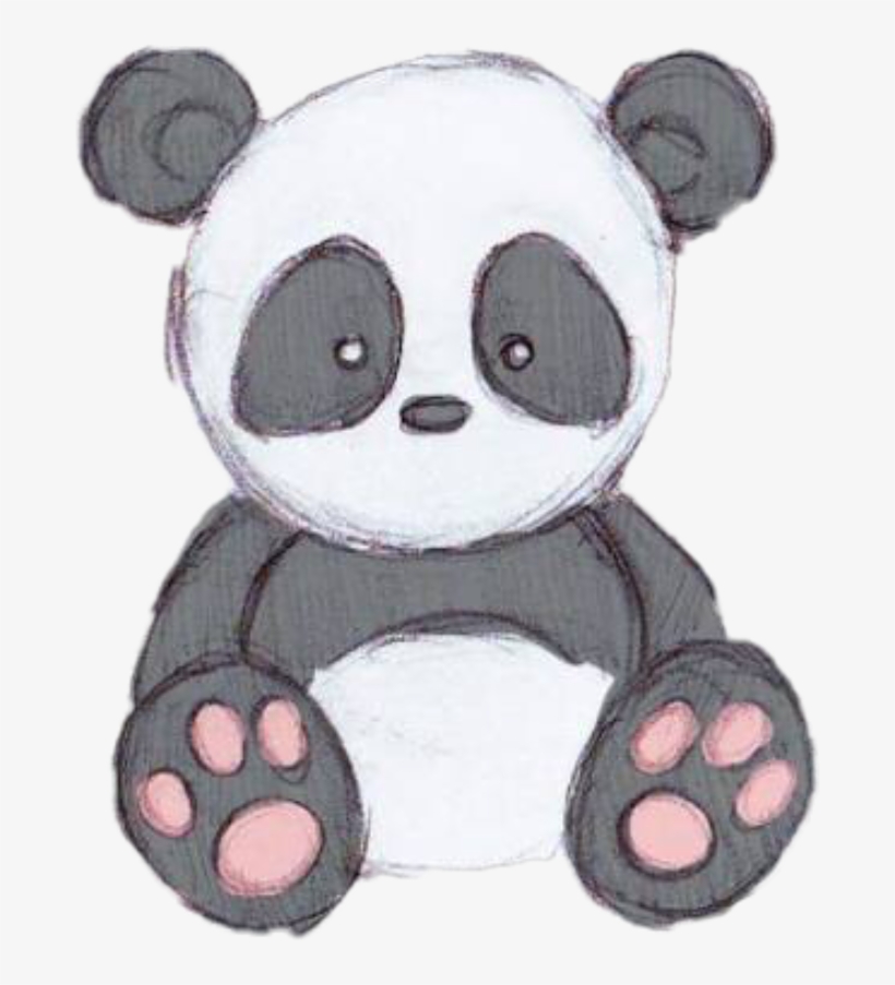 Panda Cute Cutepanda Pandastickerfreetoedit - Drawings Of Cute Cartoons, transparent png