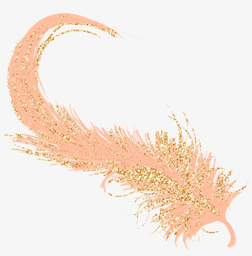 Feather Golden Gold Rosegold - Feather, transparent png